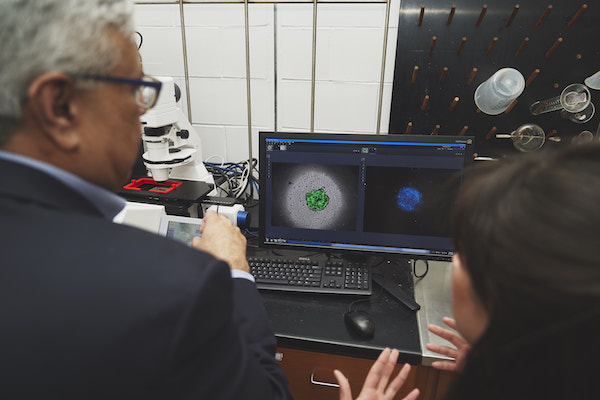 Two people looking at a computer screen showing blue and green blobs in the Puri lab