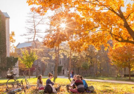 fall leaves on campus