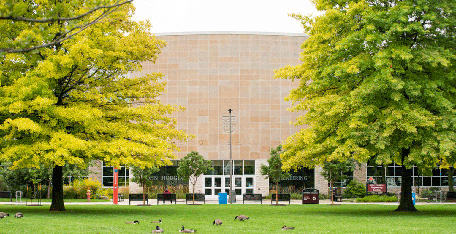 Green trees on campus with geese on the grass