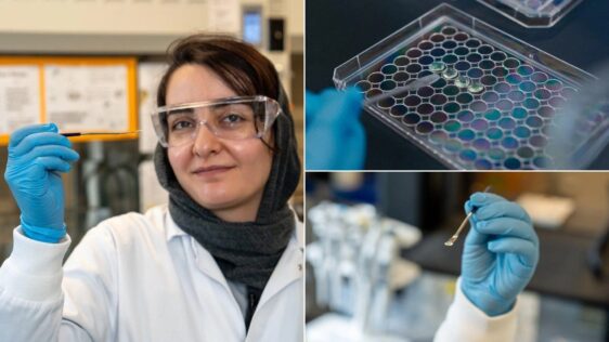 a woman wearing a hijab, white lab coat, safety goggles and blue gloves holding up a tray in a lab.