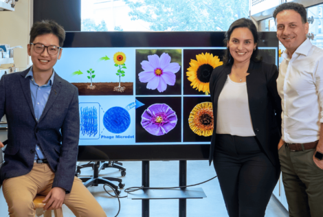 three researchers sitting in a lab, in front of a screen that has flowers on it.