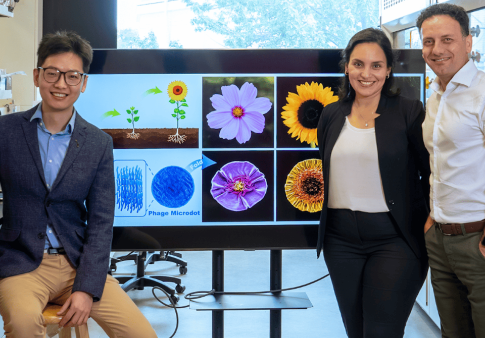 three researchers sitting in a lab, in front of a screen that has flowers on it.