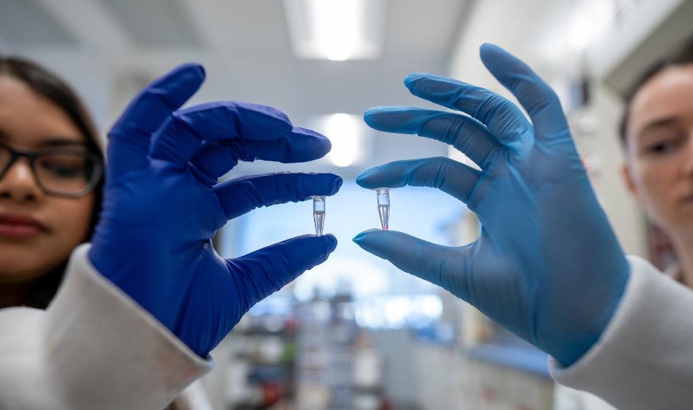 two gloved hands holding up 2 vials of clear liquid,